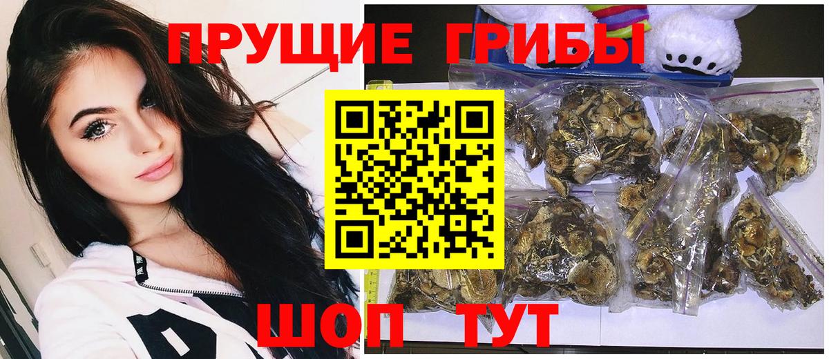 Псилоцибиновые грибы прущие грибы  Вход с VPN  Полевской 